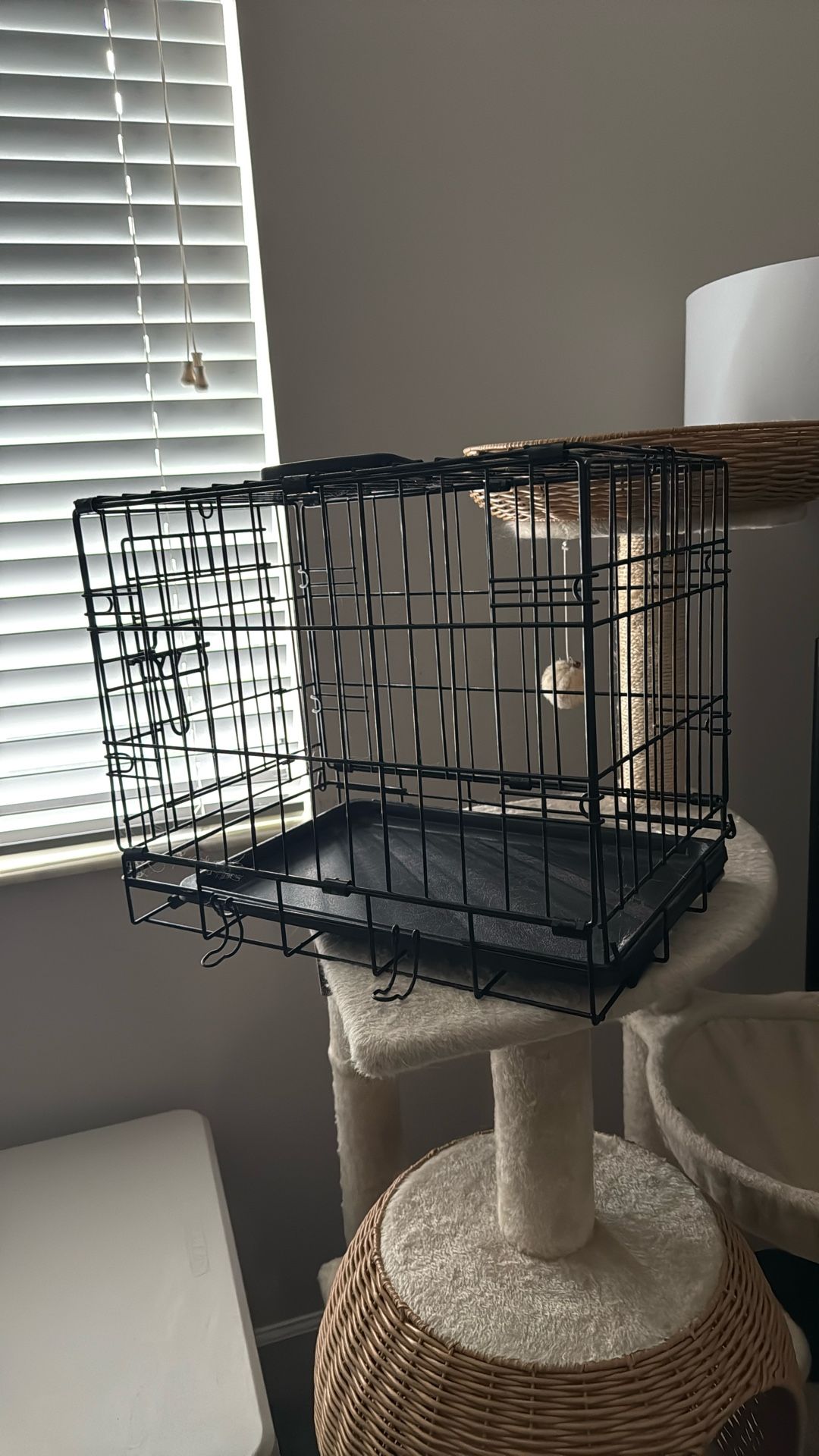 Small Dog Crate