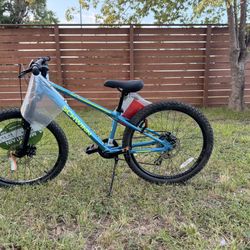 Schwinn Bike