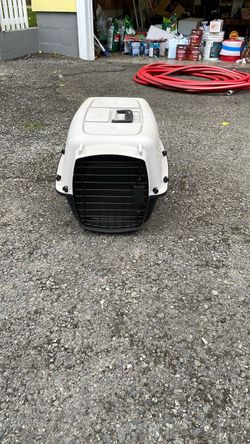 Pet carrier