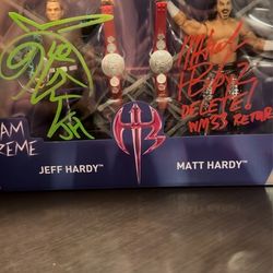 Hardy boyz wrestlemania 33 return