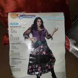 Mystical Charmer Costume