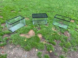 Set Of 3 20 Gallon Aquarium for Sale 