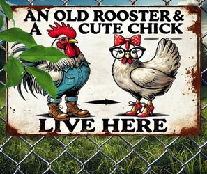 AN OLD ROOSTER AND A CUTE CHICK LIVE HERE METAL SIGN. NEW