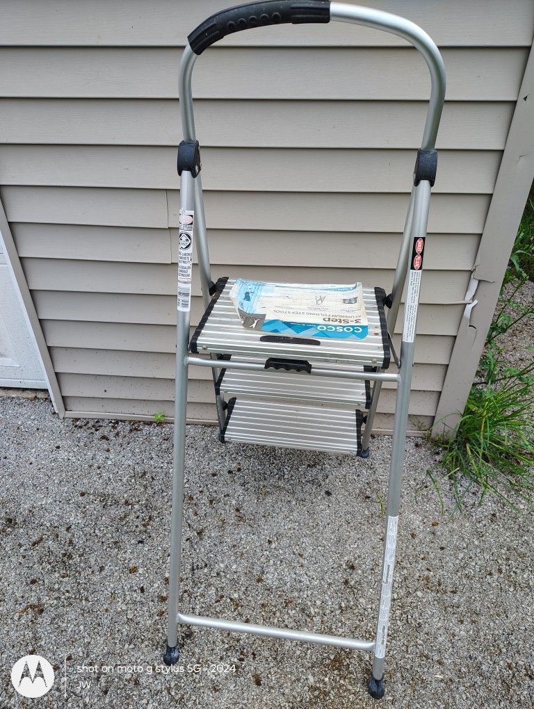 225lb Ladder