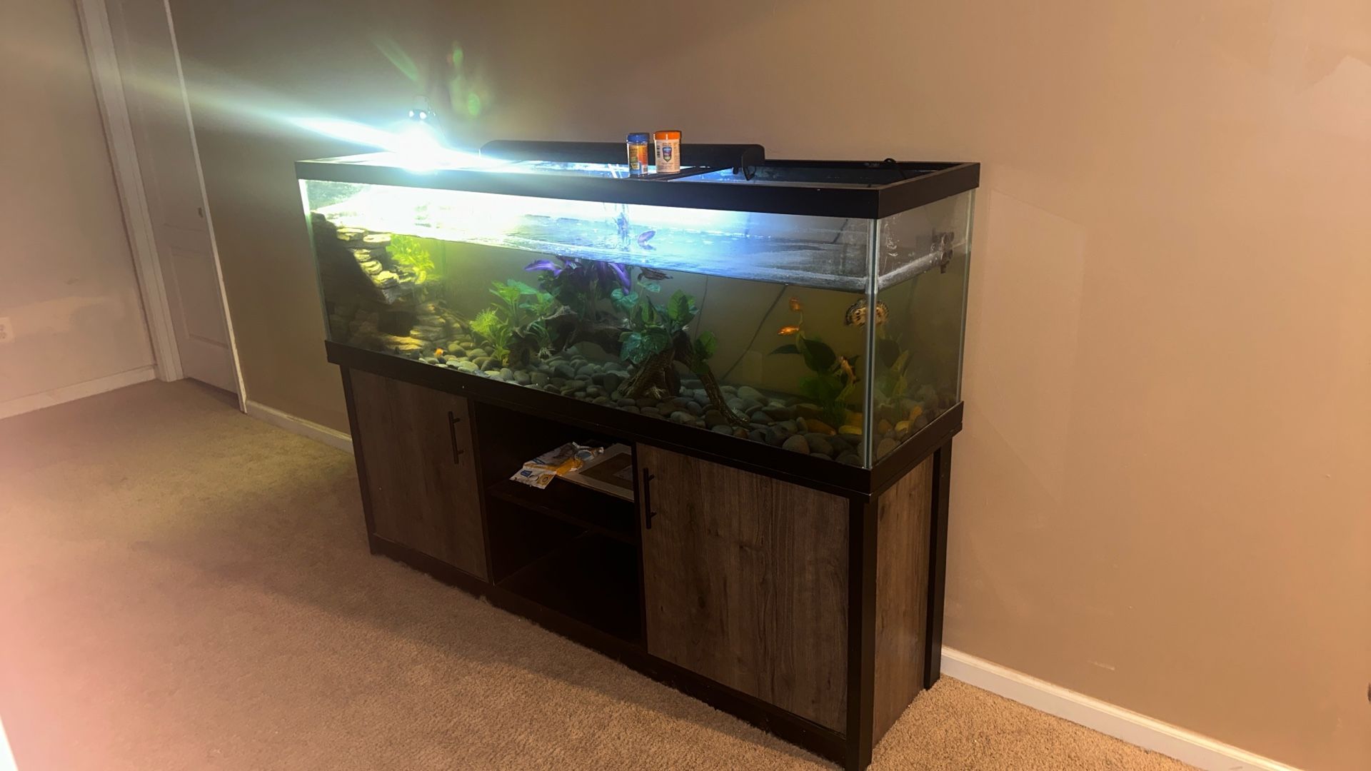 125 Gallon Fish Tank Used No Lids And One Led Light