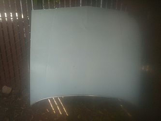 Hood 84 buick regal