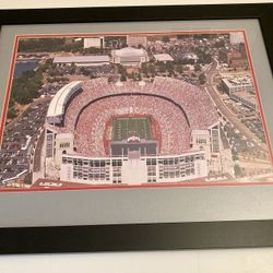 Ohio Stadium Large Black Framed Glass Print OSU Buckeye Decor
