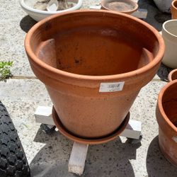 All Together Plants Pots