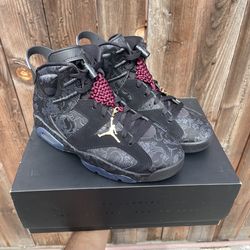 Jordan 6 retro SD