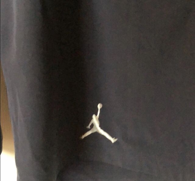 Air Jordan Dri Fit Shorts XXL