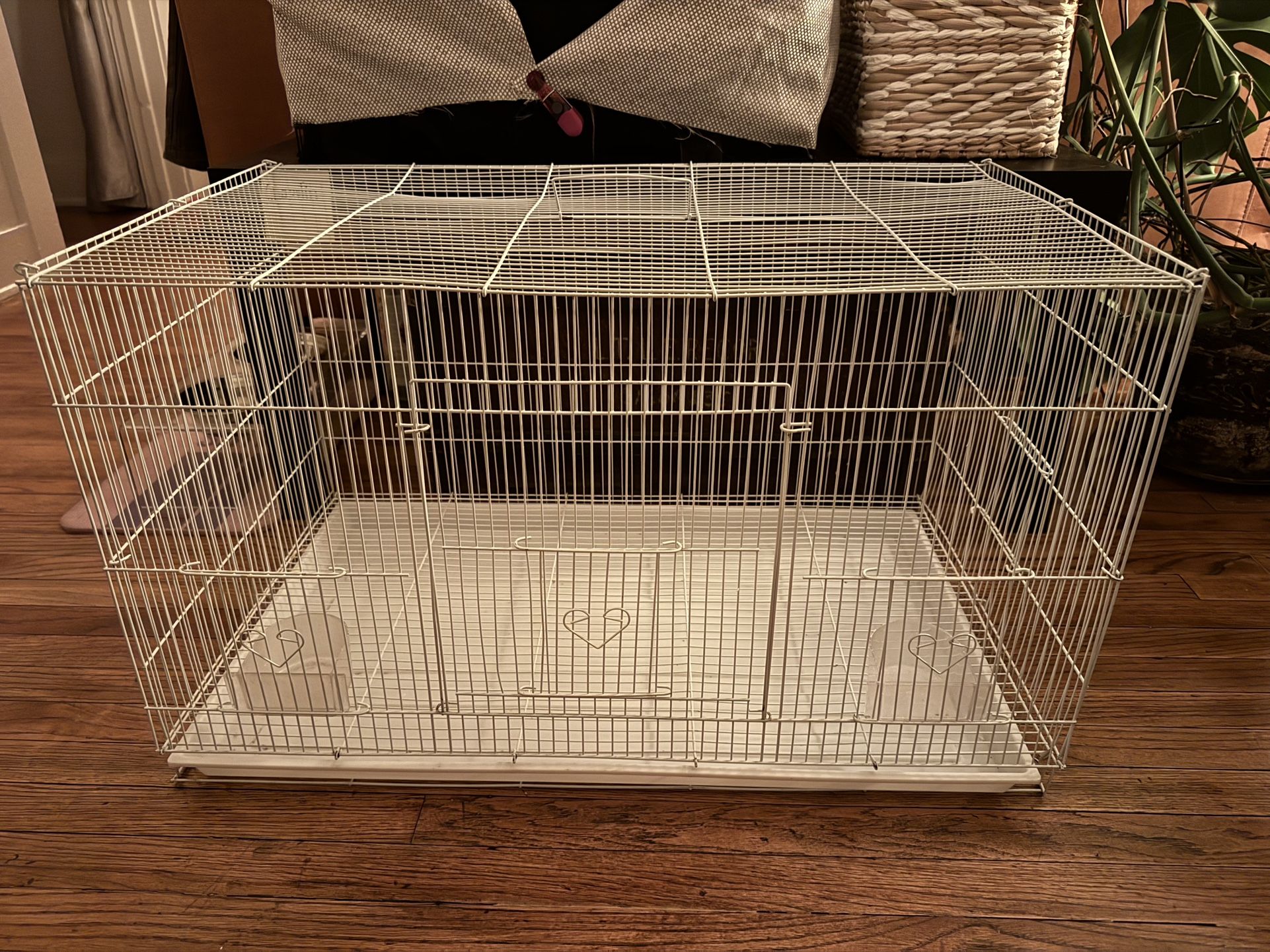 Bird Cage - Jaula Para Pájaro