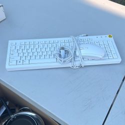 Keyboard And Mouse 