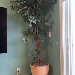 faux ficus tree with beautiful clay nase and wooden stand