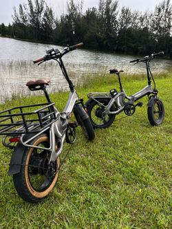 E-bike (2 E-bikes are included)