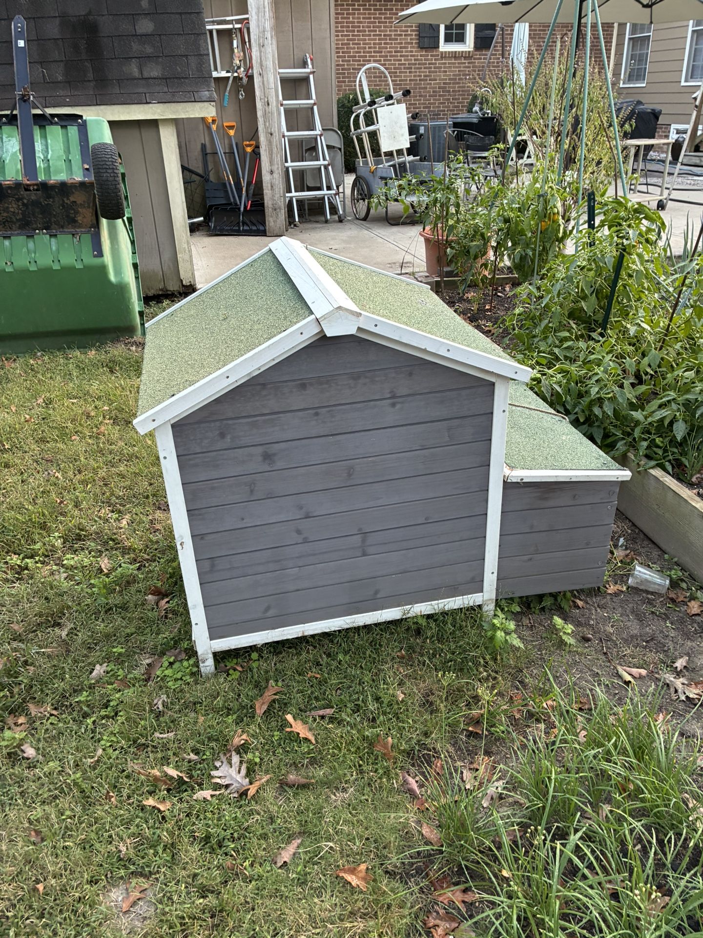Chicken Coop 