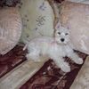 Mia B