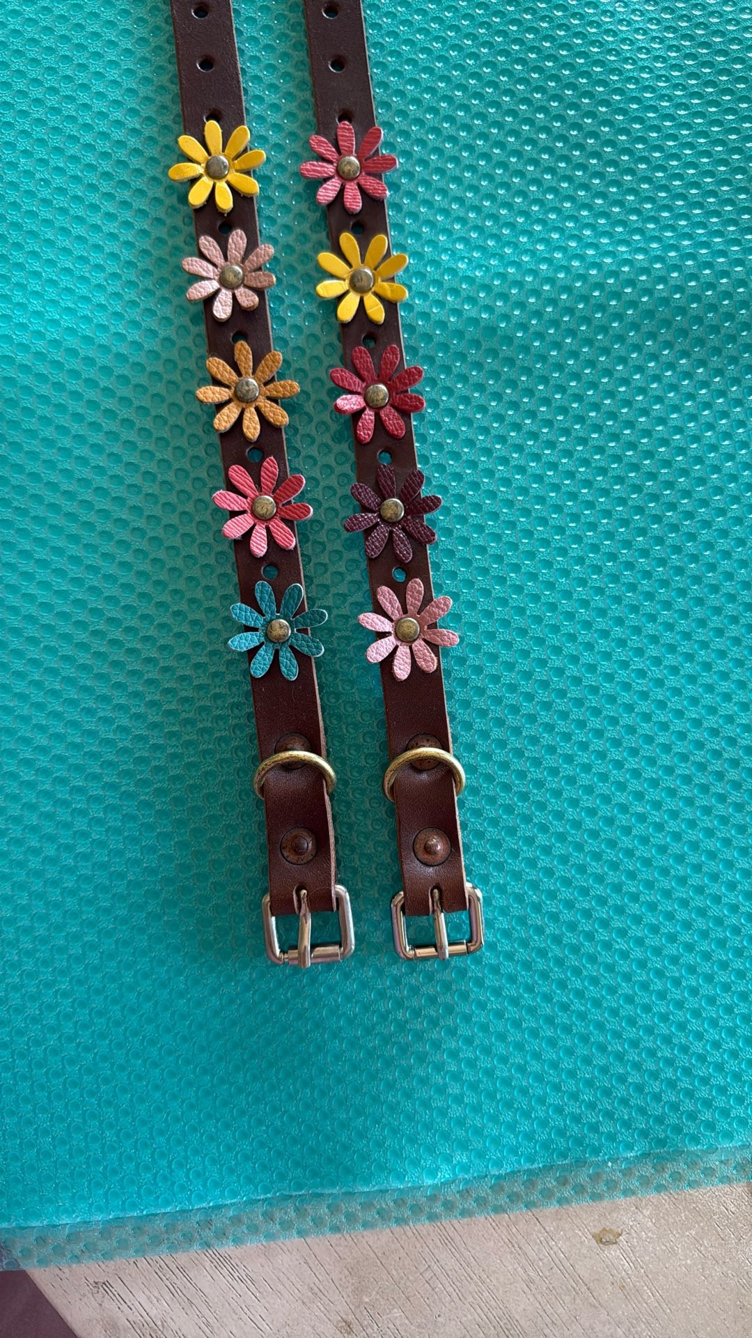 Dog Collars 