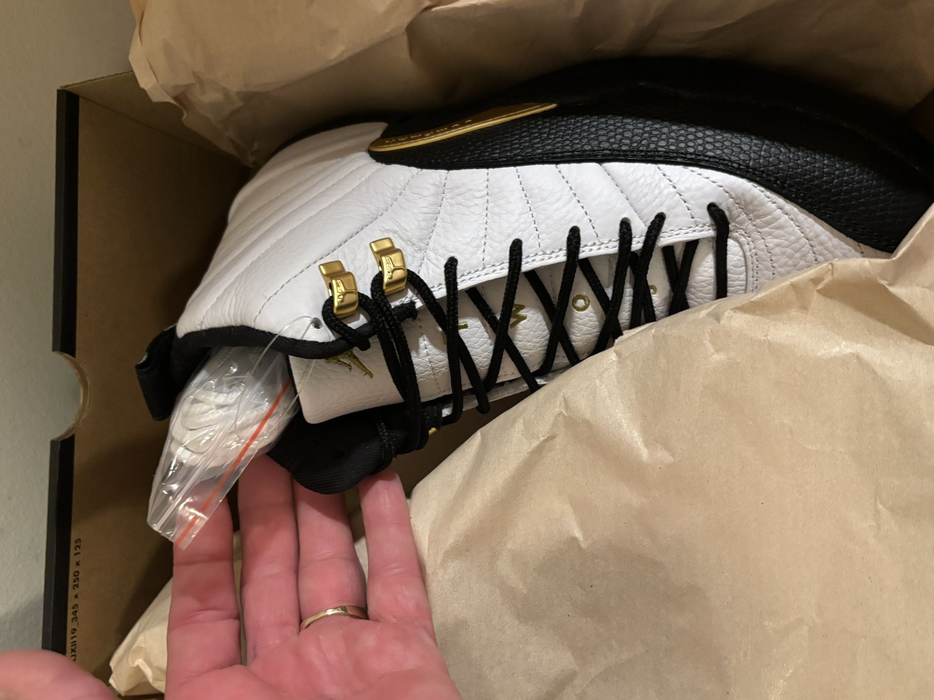 Air Jordan 12 size 9 1/2