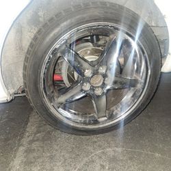 Cobra Reps