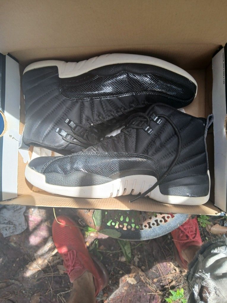 Jordan 12 Nylon
