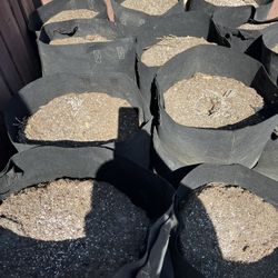 Soil For Plants