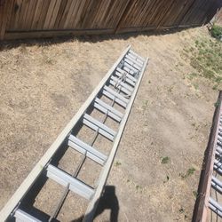 24 Ft Ladder 