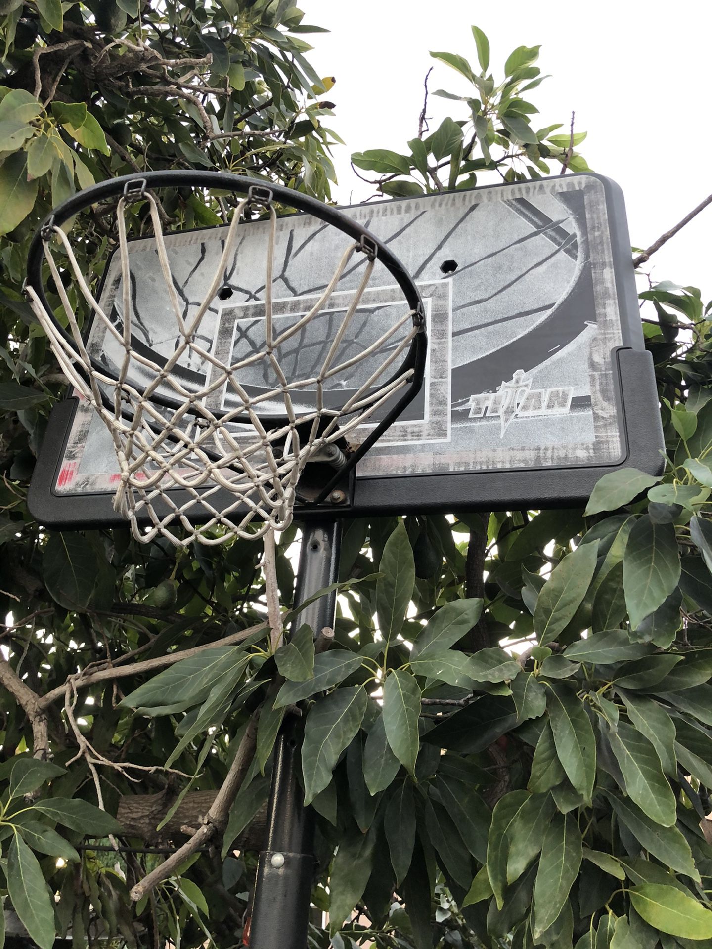 Full size basketball hoop