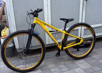 29 Mtb