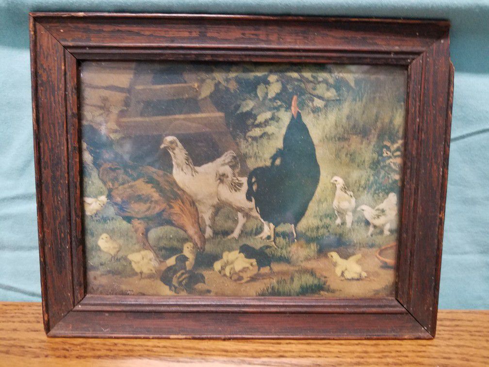 Antique chicken picture