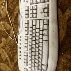 Microsoft Keyboard (PS2 Style)