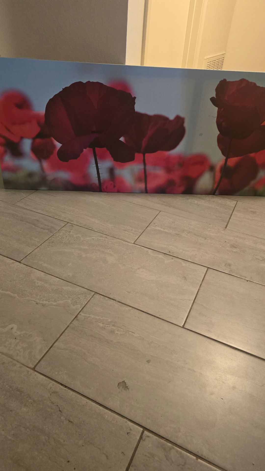 Large canvas picture poppys