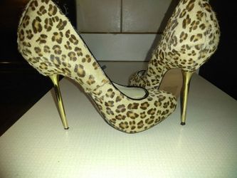 Beautiful wild sitletto