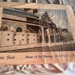 Buffalo Bisons Baseball 16-20 Pilot Field Unique 