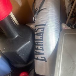 punching bag set