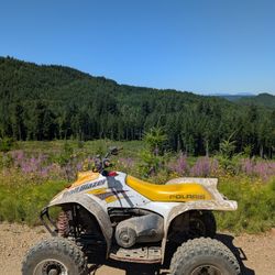 2001 Polaris Trailblazer 250