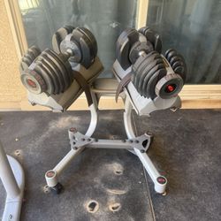 Bowflex Dumbbells 