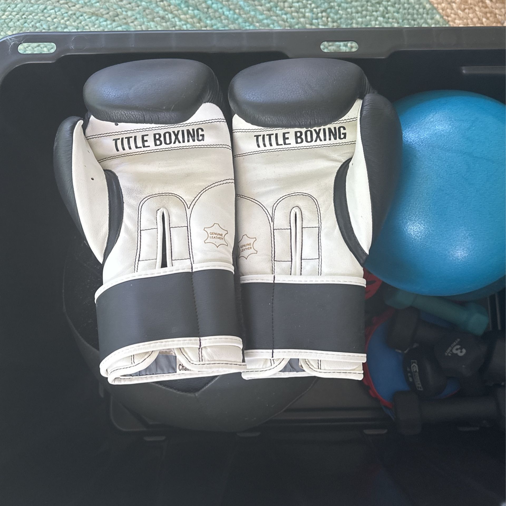 Lot Of Workout Equipment