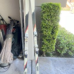 Pre 1200 Downhill Skis (200 cm) 
