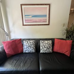 Home/Office Cushions