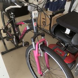 Schwinn Bicycle And Schwinn Magnetic Resistance Bike Trainer