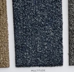 Blue Carpet Sample Multitude