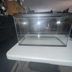 Pecera Para Reptiles O Acuáticos Cinco