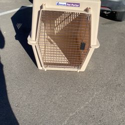 Brighton dog carrier online