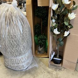 Artificial House Plants 50% Off