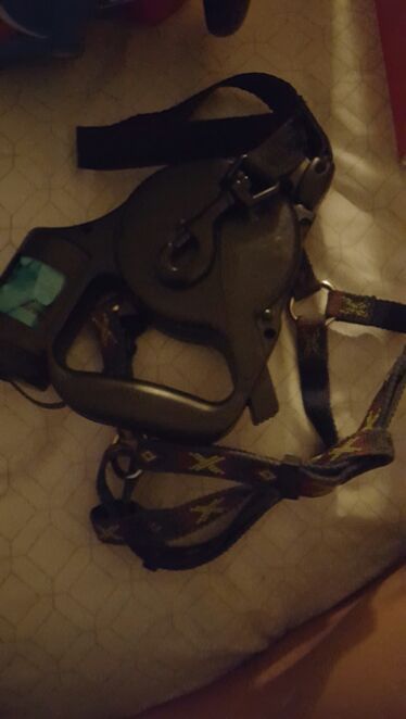 Dog leash with collar
