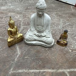 Used Buddha