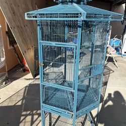 Bird Cage 