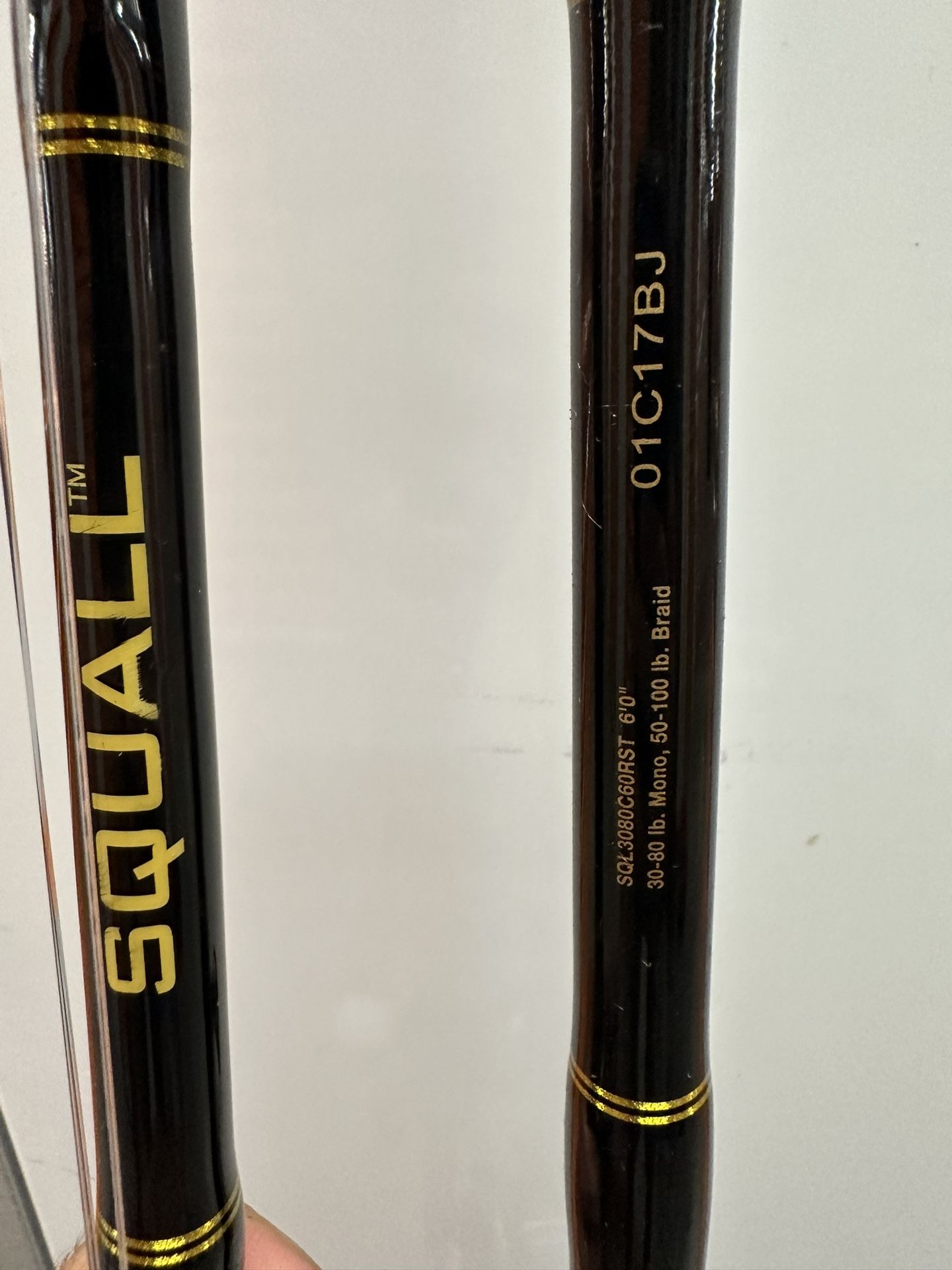 PENN Squall 60LD With Rods 