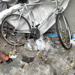 Trek Bike 