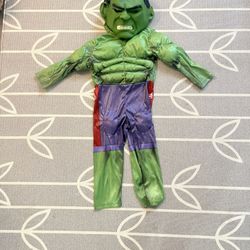Hulk Costume Disney Size 3